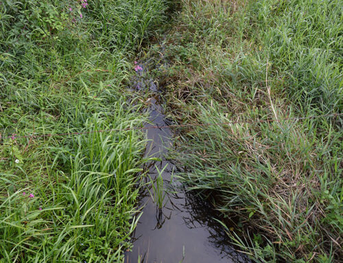 Harzwasserwerke am Standort Ristedt