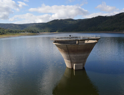 Harzwasserwerke bereiten sich erneut auf Doppeltrockenjahr vor