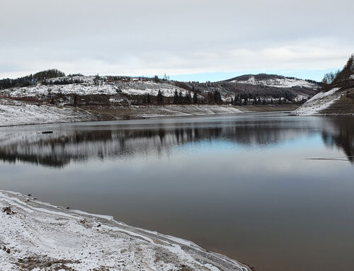 Harzwasserwerke bereiten sich auf Anhalten der Trockenperiode vor