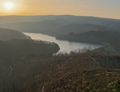 Talsperrenfüllstände zum Frühlingsbeginn deutlich gestiegen