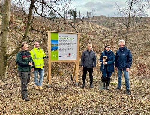 27.000 Bäume und Sträucher für den Trinkwasserschutz